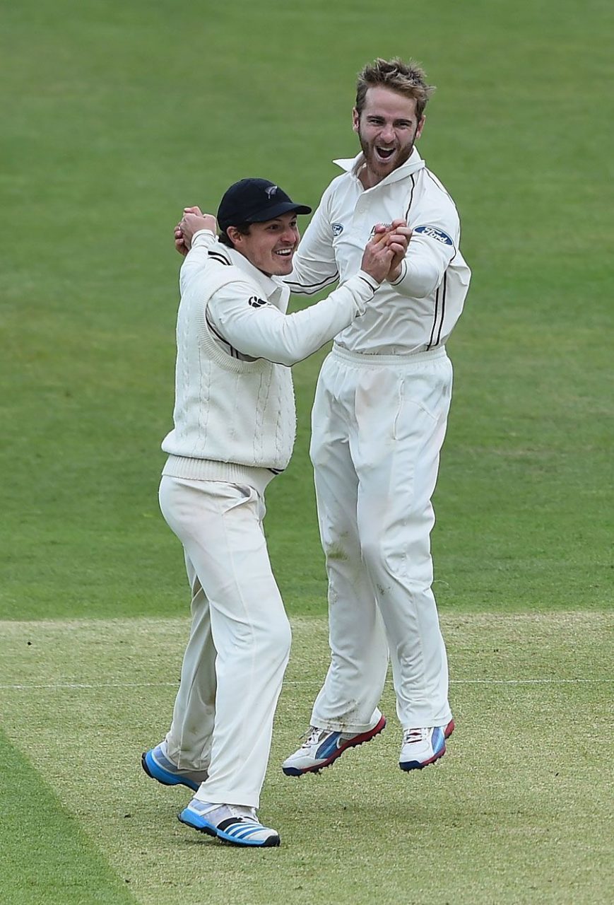 BJ Watling And Kane Williamson Celebrate The Wicket