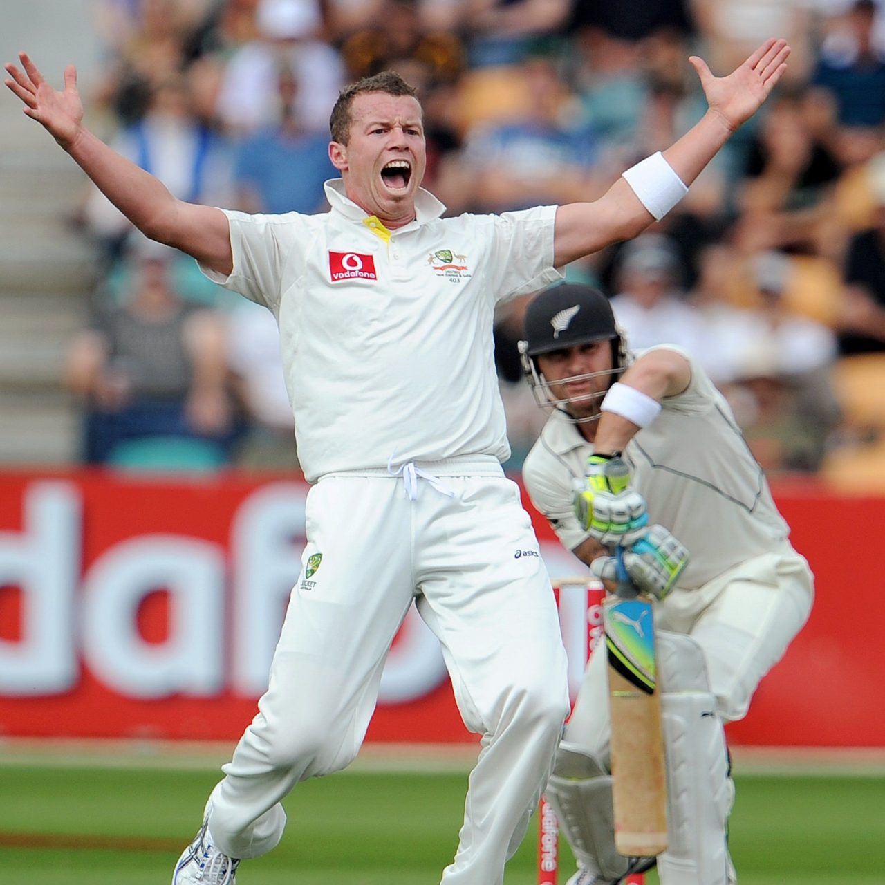 Peter Siddle Appeals For A Wicket